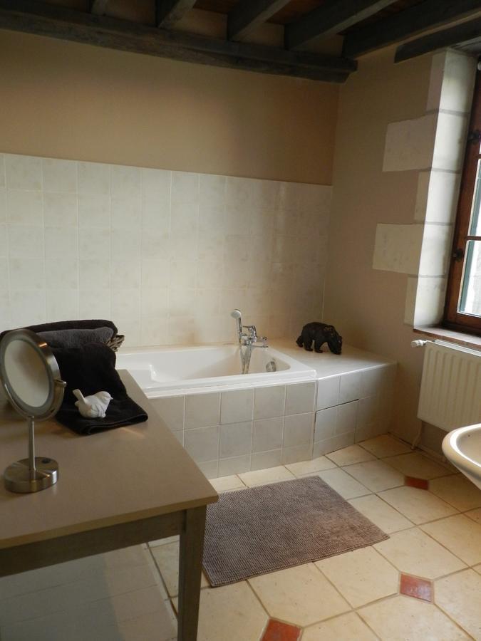 Bed and Breakfast Moulin De La Chevriere Saché Zewnętrze zdjęcie