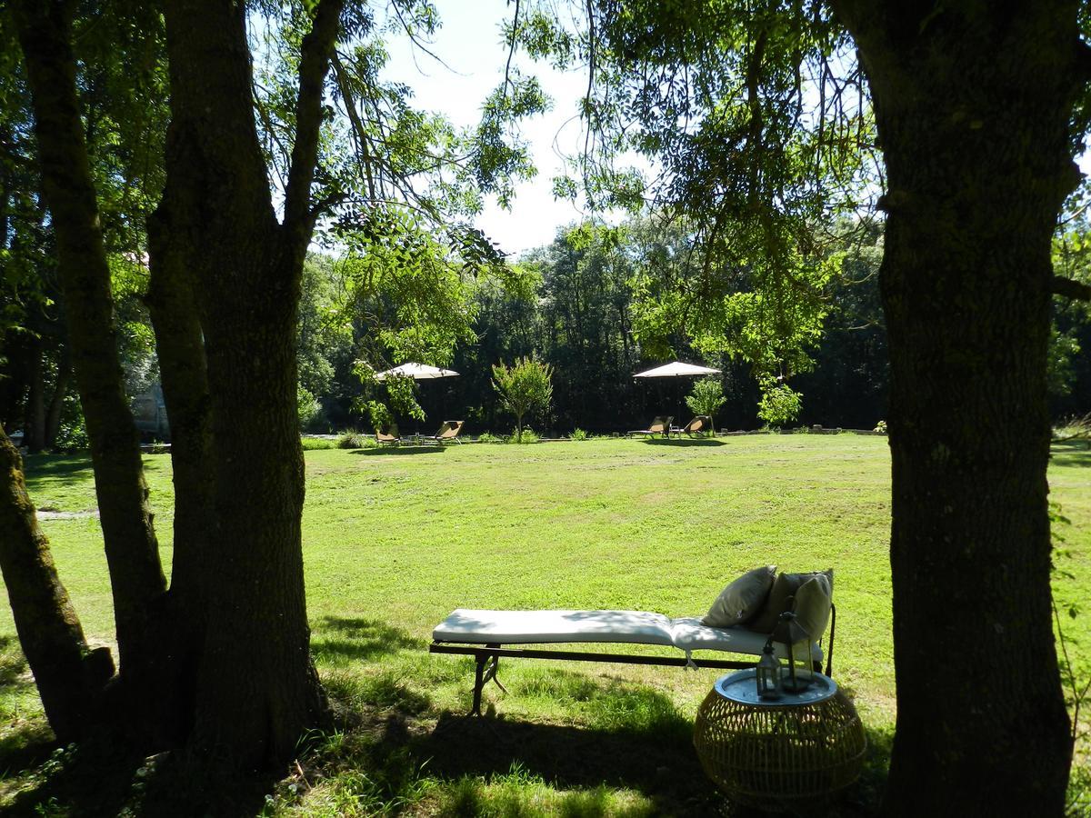 Bed and Breakfast Moulin De La Chevriere Saché Zewnętrze zdjęcie