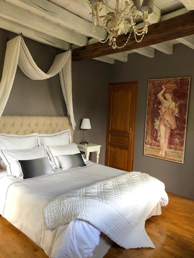Bed and Breakfast Moulin De La Chevriere Saché Zewnętrze zdjęcie